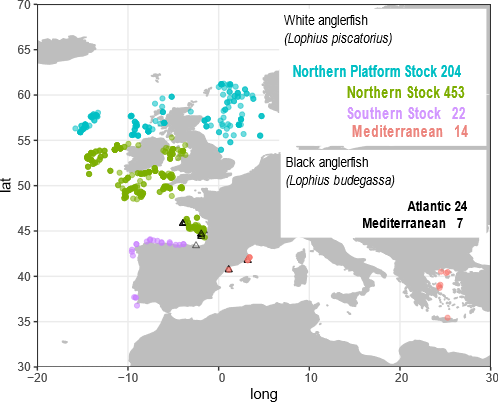 We sampled ~700 white anglerfish throughout the Norteast Atlantic and Mediterranean Sea and performed analyses based on thousand of genome-wide SNPs and mitochondrial markers. We found that: