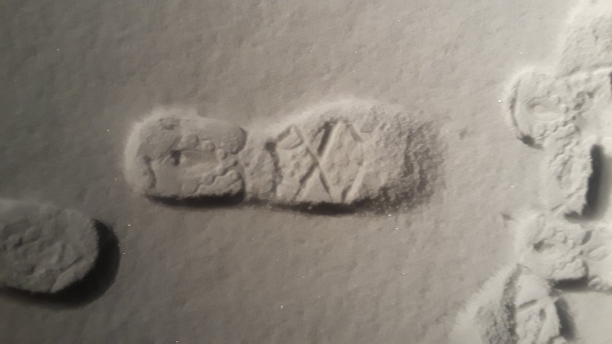 tommegma's tweet photo. Snow total at 11.50pm, 7 miles N of Battle Ground at about 582ft.
It's still snowing.
And an optical illusion. It's a footprint, obviously, but looks like it stands out, not like an imprint.
@NatashaKOIN6 @JosephForecast
#weather #snow #cold #winter #SnowTotal #pnw #illusion https://t.co/Wo3LZ6dSKu