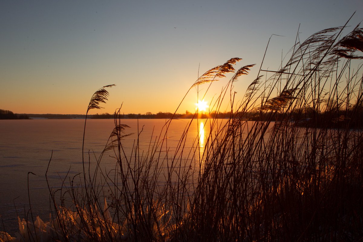 DPvanLoo's tweet image. Helaas geen #NKmarathon #nknatuurijs  #rietplas#Emmen dan zo maar delen hoe mooi het is. @knsb @knmi @MinPres @Alpenweerman @Weerplaza @BuienRadarNL @hetweerinassen @RTLnieuws @NoodweerBenelux @RTVDrenthe @dvhn_nl @MeteoRoodescho1 @Talpaweer @pietsweer @weeronline @marcopverhoef