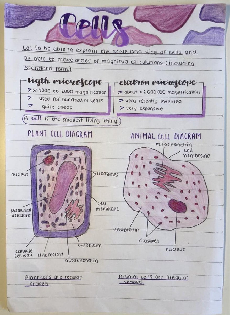 HathawayAcademy's tweet photo. Year 11 have been working on paper 1 science topics, discussing cells. They were asked to create a revision guide. Lucia Tormo Ovbiagele in 11F produced some really good work; well done Lucia! #HathawayAcademy #Sciencework #Excellence https://t.co/UjpoIgX6i9