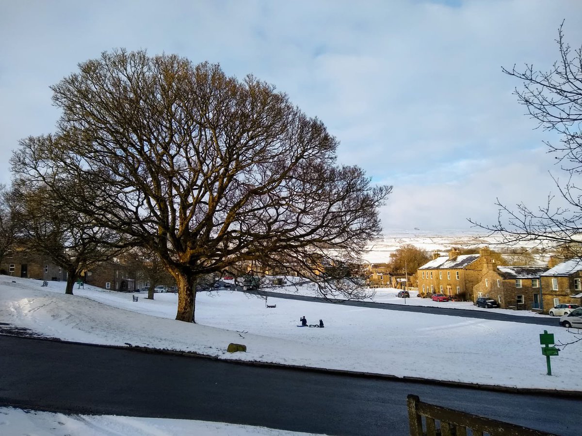 SykeCottage tweet picture