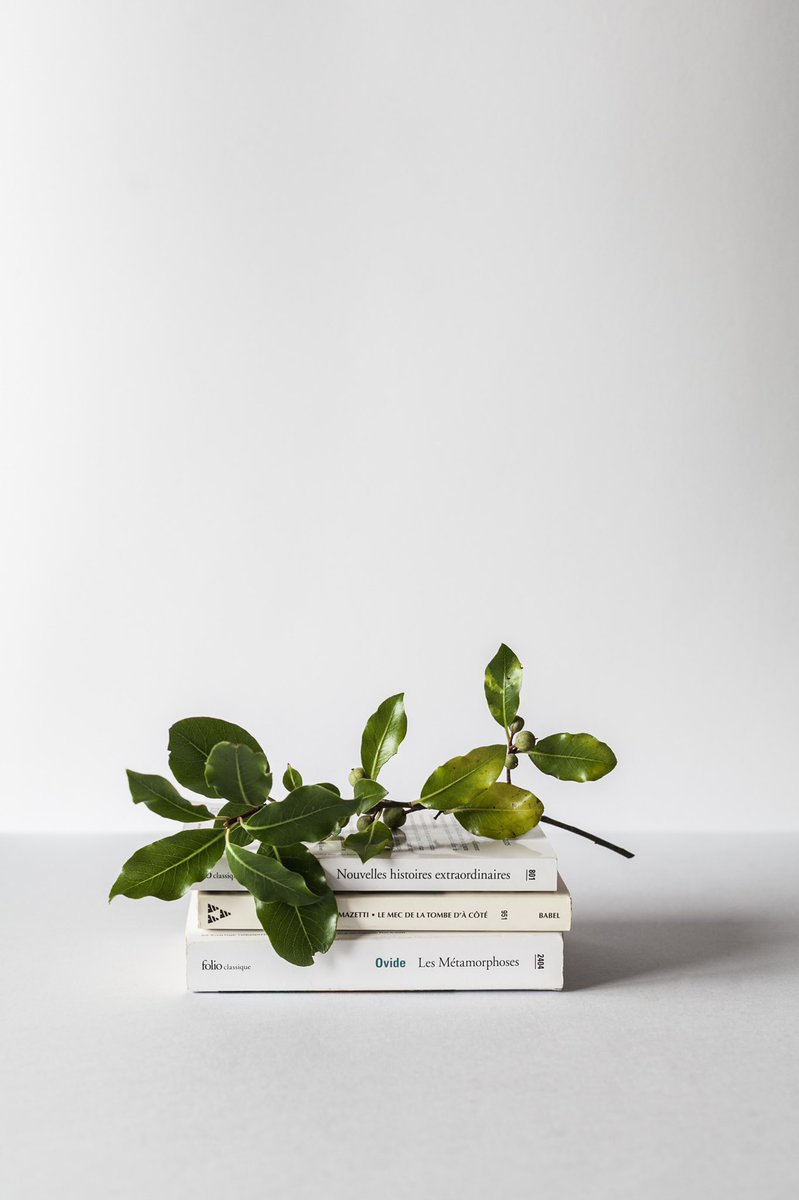 CoolToCleanLtd's tweet photo. Relax and read, leave us to clean ๐งฝ
#cleaningoffice #trustedcleaners #secureworkplace #qualitycleaners #expertcleaners #unsplash #unsplashphoto #operationsmanagers #officemanagers #cleaningservice #simplepleasures #endoftenancy #endoftenancycleaning #officecleaning https://t.co/ILXR4RFacJ