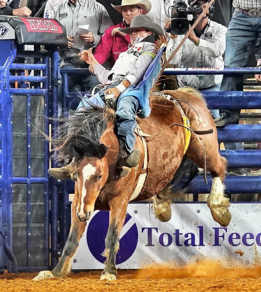 wgooden's tweet photo. Textbook mark out Kody Lamb #barebackbronc #rodeo #prca #kodylamb #photography #western https://t.co/OE98StJOi0