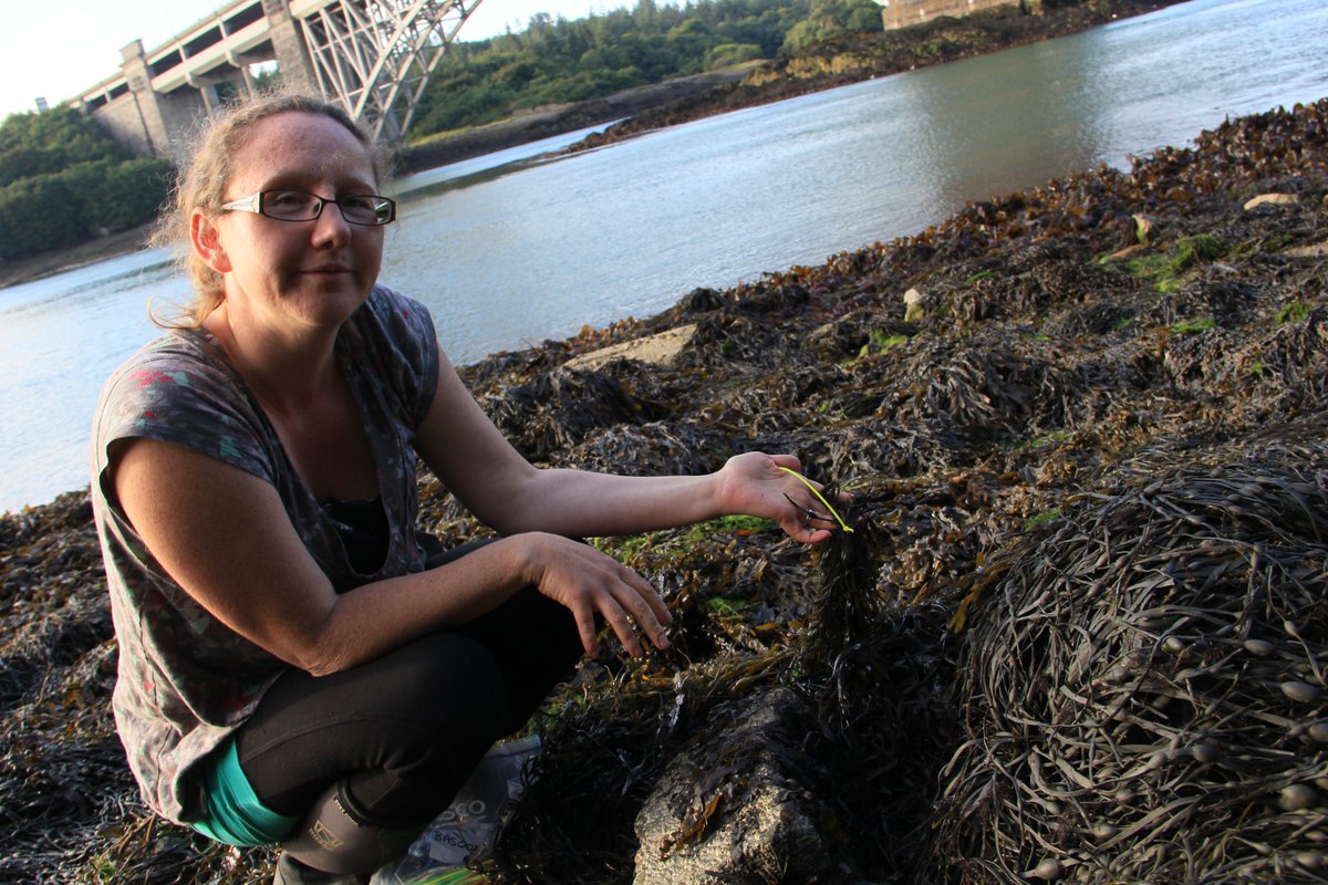 Liz is a marine science superstar and we are so pleased that she has joined our project for Phase II! Liz joins our Non-Native Species &amp; Biosecurity team at <a href="/BangorUni/">Bangor University</a>, bringing her extensive experience working with the public sector and citizen science projects. 🙌 #IDWGS2021