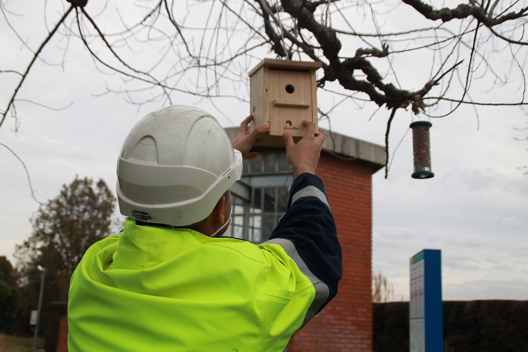 Amb el fred, els ocells estaran encantats de trobar refugi i una mica d'aliment extra als espais verds de l'#ETAP de #SantJoanDespí 
<a href="/aiguesbcnclient/">Aigües de Barcelona</a> <a href="/ICOcells/">ICOcells</a> #BiObserva #biodiversitat