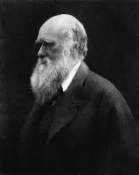 aaiprayagraj's tweet photo. On #212thBirthAnniversary of #CharlesDarwin Prayagraj airport pays rich tributes to the #evolutionist who observed that all diversity in animal & plant kingdoms are due to #evolutionaryprocesses which includes #geneticmutation #naturalselection #extinction #darwinday2021 https://t.co/MHjhWzJ7cG