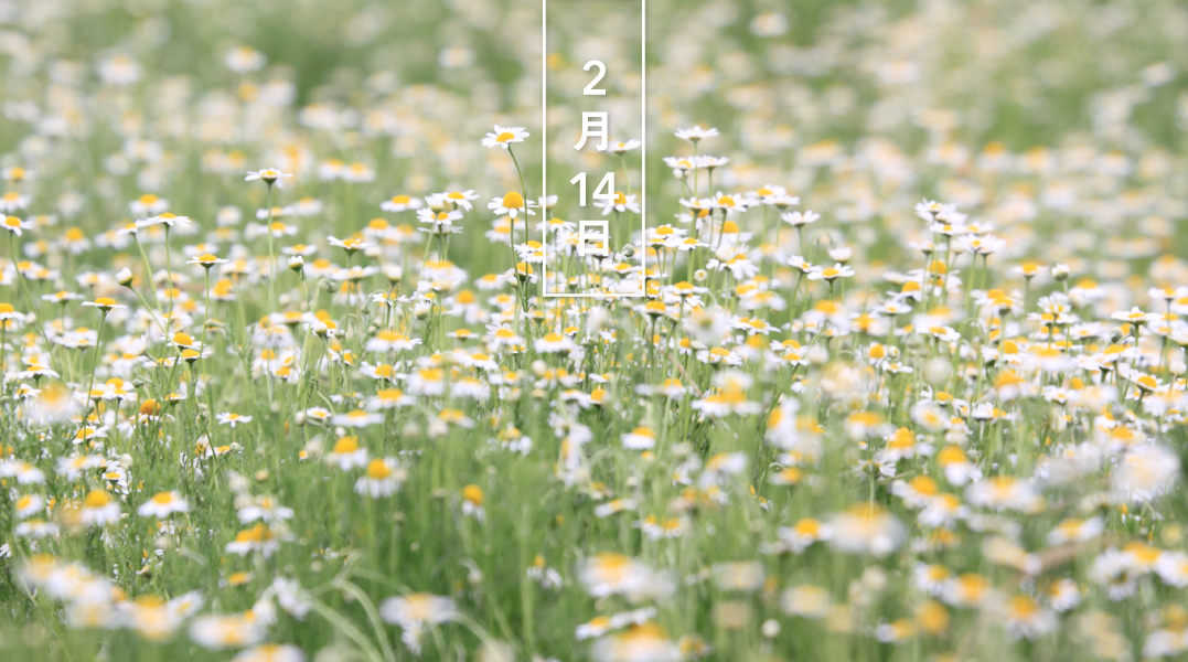 暦生活 こよみせいかつ お誕生日おめでとうございます 今日の誕生花 ローマンカモミール 花の日めくり 花言葉 逆境に耐える力 カモミールは 地上のリンゴ という意味です 花も葉も リンゴの香りがします ハーブの代表格として人気があり 暦生活 こよみせいかつ お誕生日おめでとうございます 今日の誕生花 ローマンカモミール 花の日めくり 花言葉 逆境に耐える力 カモミールは 地上のリンゴ という意味です 花も葉も リンゴの香りがします ハーブの代表格として人気があり