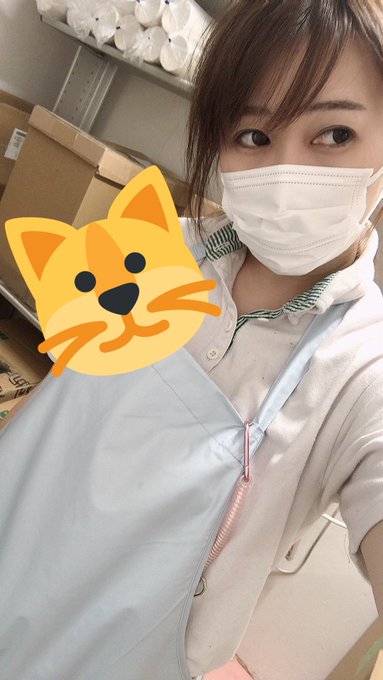 職場で新しいエプロンを購入してもらった  突然にじみでる動物看護師感  まぁ勤務先がペットショップってだけで実際動物看護師なんだけどさ https://t.co/0ZZqr5Ijc7