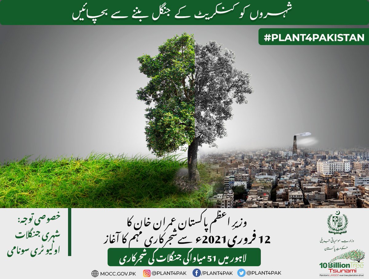 Farman Ullah tweet media