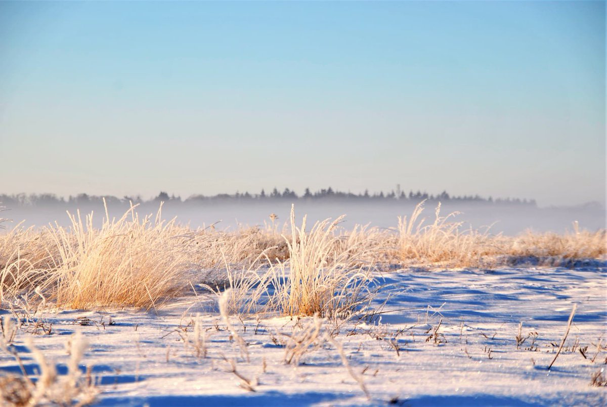 Een kantoorlocatie met dit adembenemende uitzicht? En een #ommetje tijdens de lunch midden in de natuur, terwijl er een eekhoorntje voorbij schiet? Bij ons kan dat: technologybase.nl/vestigen/ #ontwikkelen #testen #trainen #bestaandepanden #nieuwbouw
📸 <a href="/eendagzonder/">Gea</a>