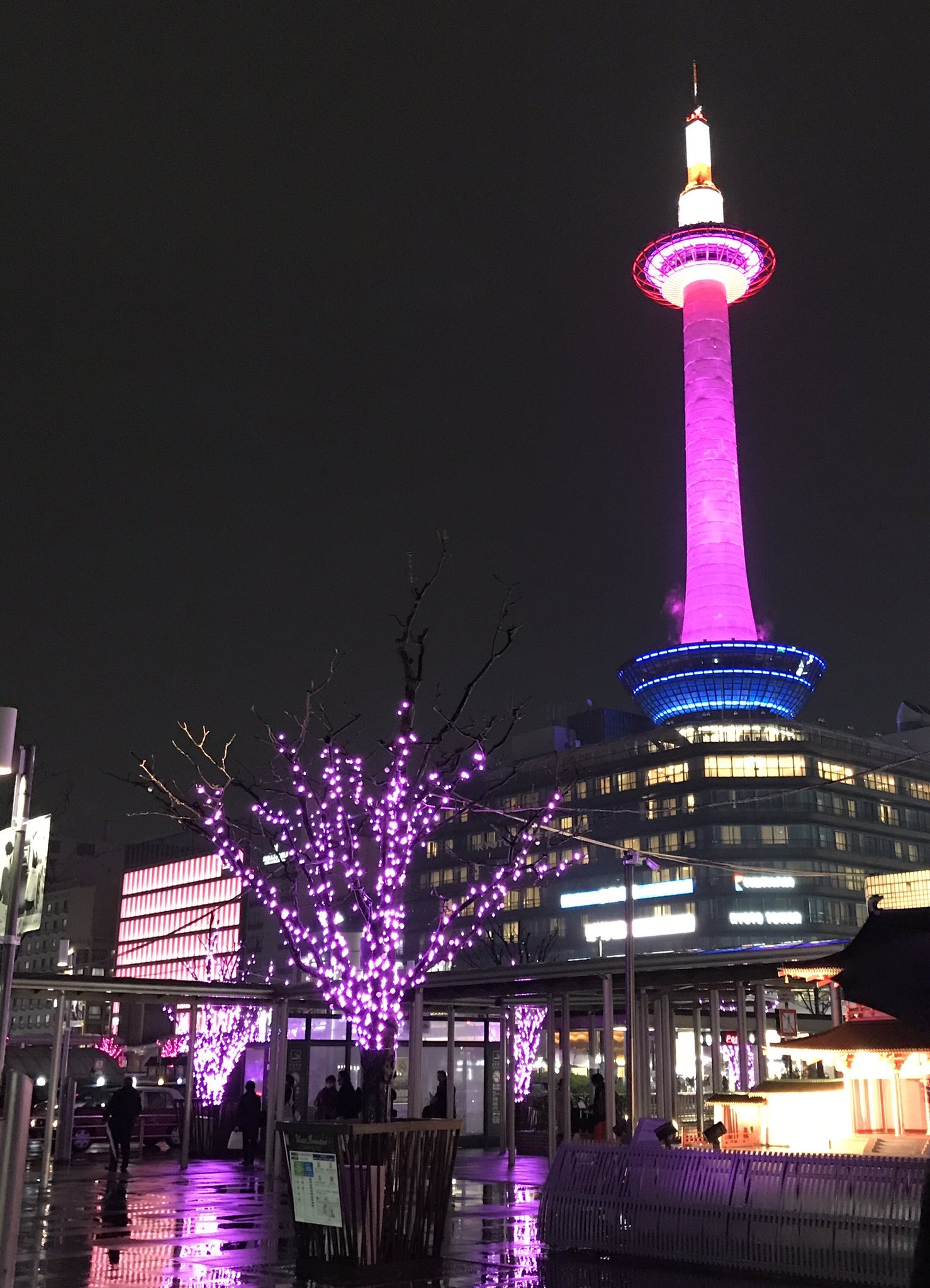 京都駅ビル 公式 明日13日は ときめきプロジェクト 3社協調演出を行います ローム京都駅前ビル 京都タワー 京都 駅前一帯を同一色のイルミネーションで彩ります 2月のカラーは紅梅をイメージしたピンクのイルミネーション お見逃しなく 京都駅ビル 公式 明日13日は ときめきプロジェクト 3社協調演出を行います ローム京都駅前ビル 京都タワー 京都 駅前一帯を同一色のイルミネーションで彩ります 2月のカラーは紅梅をイメージしたピンクのイルミネーション お見逃しなく
