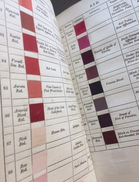 Using the vivid descriptions and chart in Syme’s ‘Werner’s Nomenclature of Colours’ (1814) Darwin was able to identify the colours of the natural world and accurately record the colours of the plants and animals he encountered on his voyage.