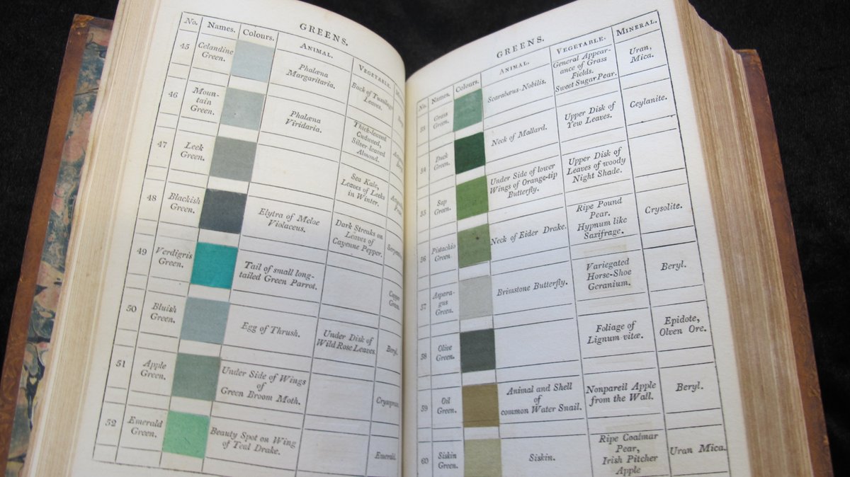 Using the vivid descriptions and chart in Syme’s ‘Werner’s Nomenclature of Colours’ (1814) Darwin was able to identify the colours of the natural world and accurately record the colours of the plants and animals he encountered on his voyage.