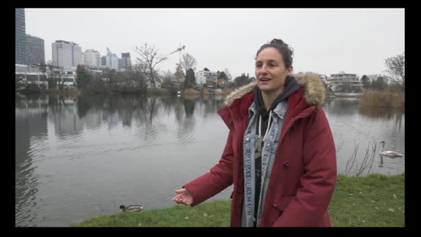 RAQUEL NAVAS REDÓ LA SEUA INTERVENCIÓ EN EL PROGRAMA DE APUNT VALENCIANS AL MÓN DES DE VIENA AUSTRIA
youtu.be/TaVbgE4IsT8