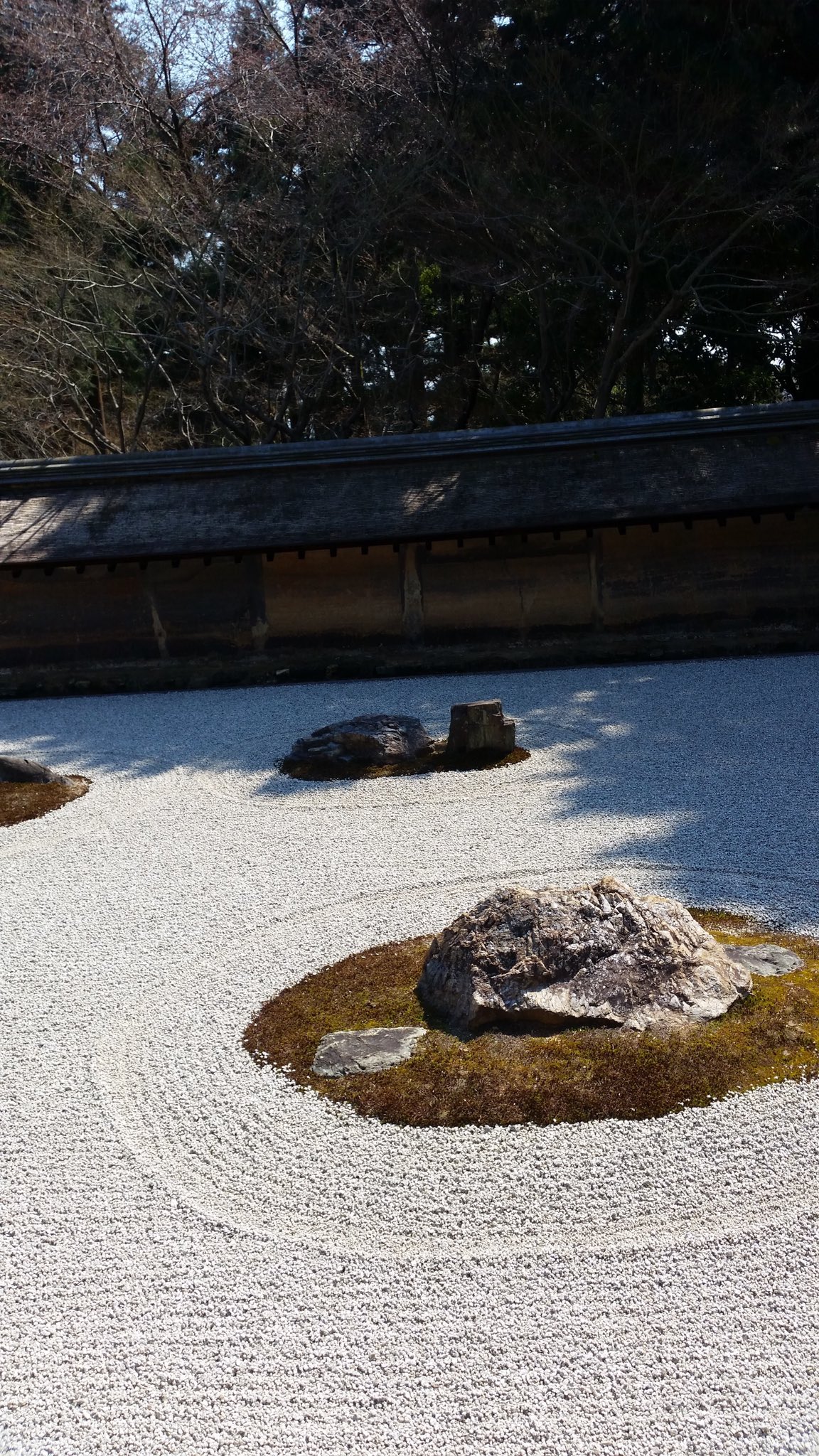 Yd 若者 地域活性化 本日のおすすめスポット 龍安寺 一言 龍安寺の石の数はどこから見ても1個重なって数えれないって母が言うてました笑笑ほんまなんかな 笑 龍安寺 龍安寺石庭 旅行好きと繋がりたい 寺巡り 京都観光 T Co Womfbphun9