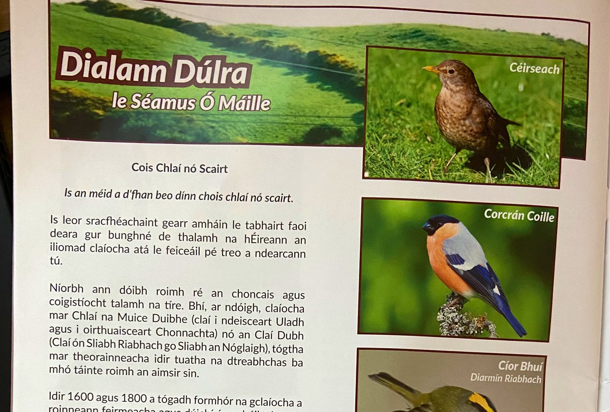 dulrabeo's tweet photo. Eolas iontach suimiúil agus séasúrach faoin dúlra san alt seo scríofa ag Séamus Ó Máille in iris #Feasta  #míosúil #nádúr #dúlra #éin @saolodheas @duchas_ie @BioDataCentre @DuilsaDulra https://t.co/KT3JBCa8xs