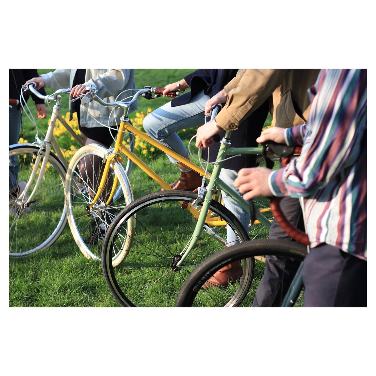 TEMPLE CYCLES tweet media