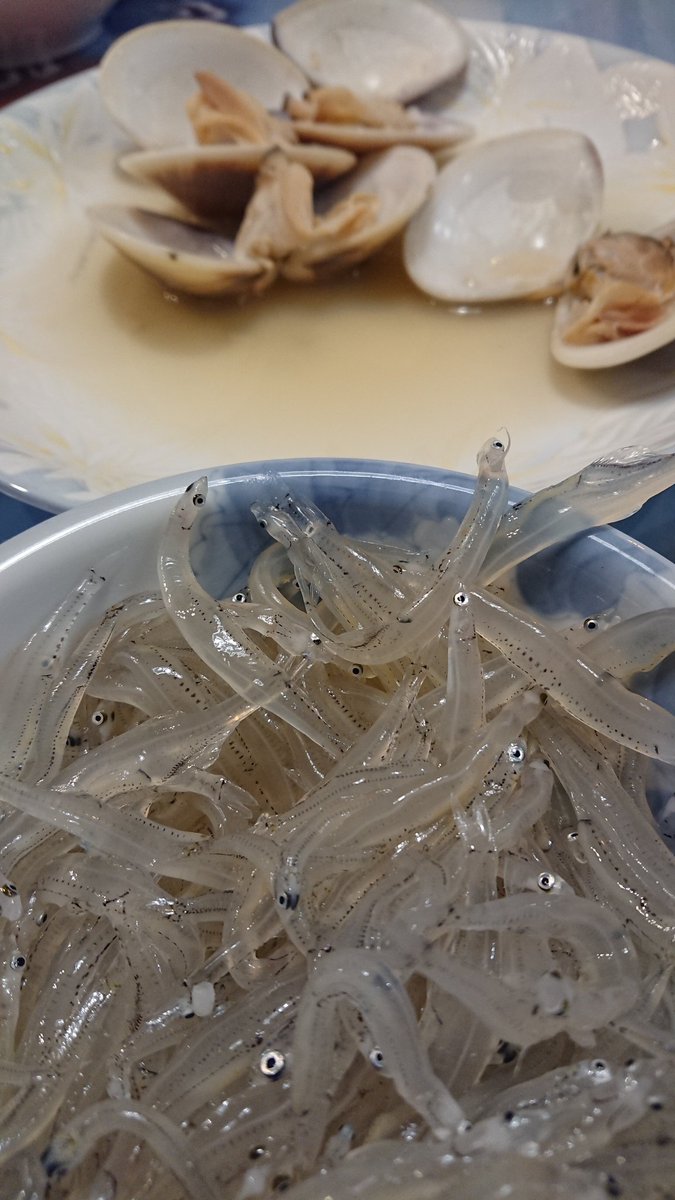 鹿島灘はまぐり