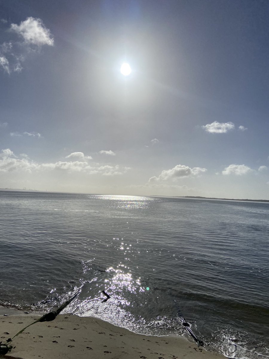 Mateus Baeta (@baetamateus1) on Twitter photo 