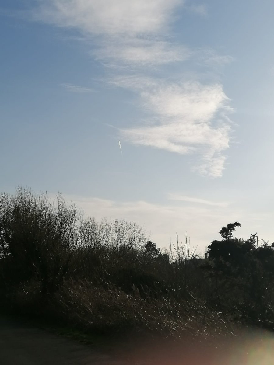 cmcnaul86's tweet image. Lilly Patterson 8RMH