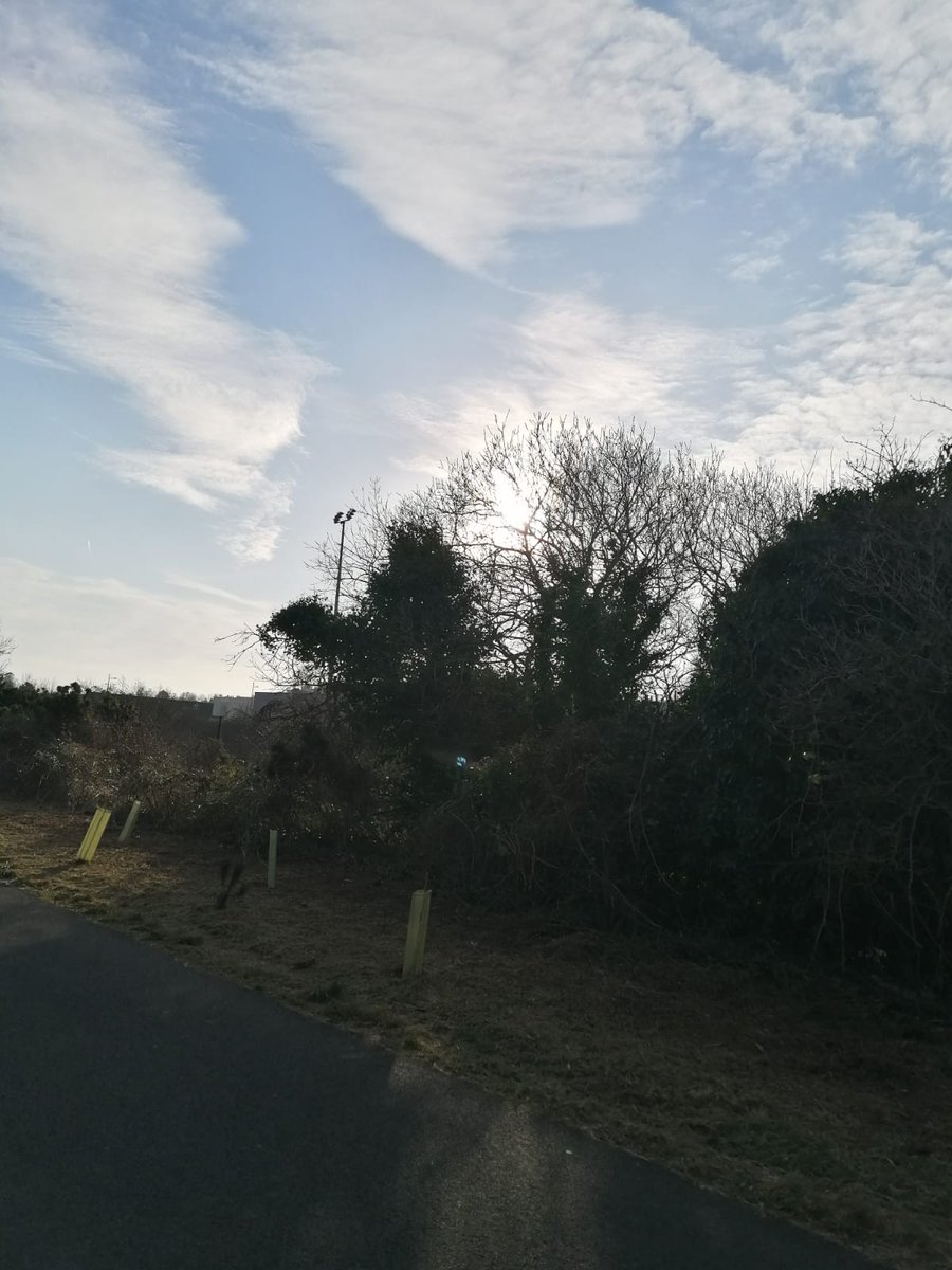 cmcnaul86's tweet image. Lilly Patterson 8RMH