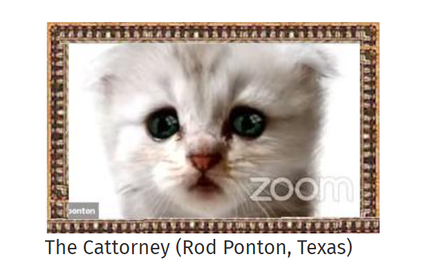 This week's entry in the wonderful Roll On Friday's  Glamourous Solicitor (CATegory?!) - made me smile!