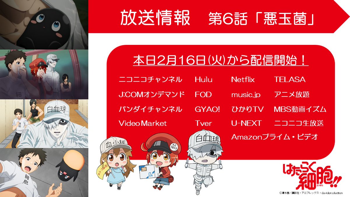 はたらく細胞 公式 2月16日 第6話放送情報 はたらく細胞 第6話 悪玉菌 が各種配信サイトにて順次配信スタート また本日テレビ愛知では26 35より放送です 皆さんぜひご覧ください 放送 配信詳細はこちら T Co Ebnw7vwiho