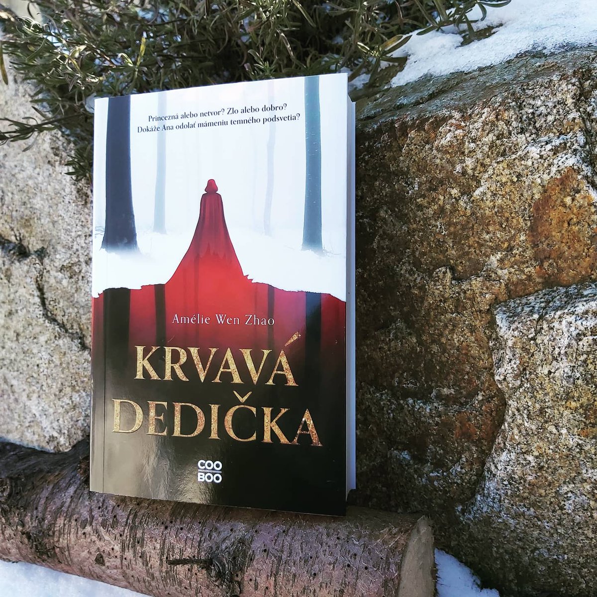 EvaPiarova's tweet photo. Blood Heir by @ameliewenzhao
and my emotional stages: 
• yay another translation by @ivanacingelova I can work on😍
• wtf pryntsessa, meya dama, kolst imperator🤔
• omg love it❤
• omg hate it (I say nothing but May)💔
• omg everybody needs to know how awesome this book is💯 https://t.co/o6Z3NGebQS