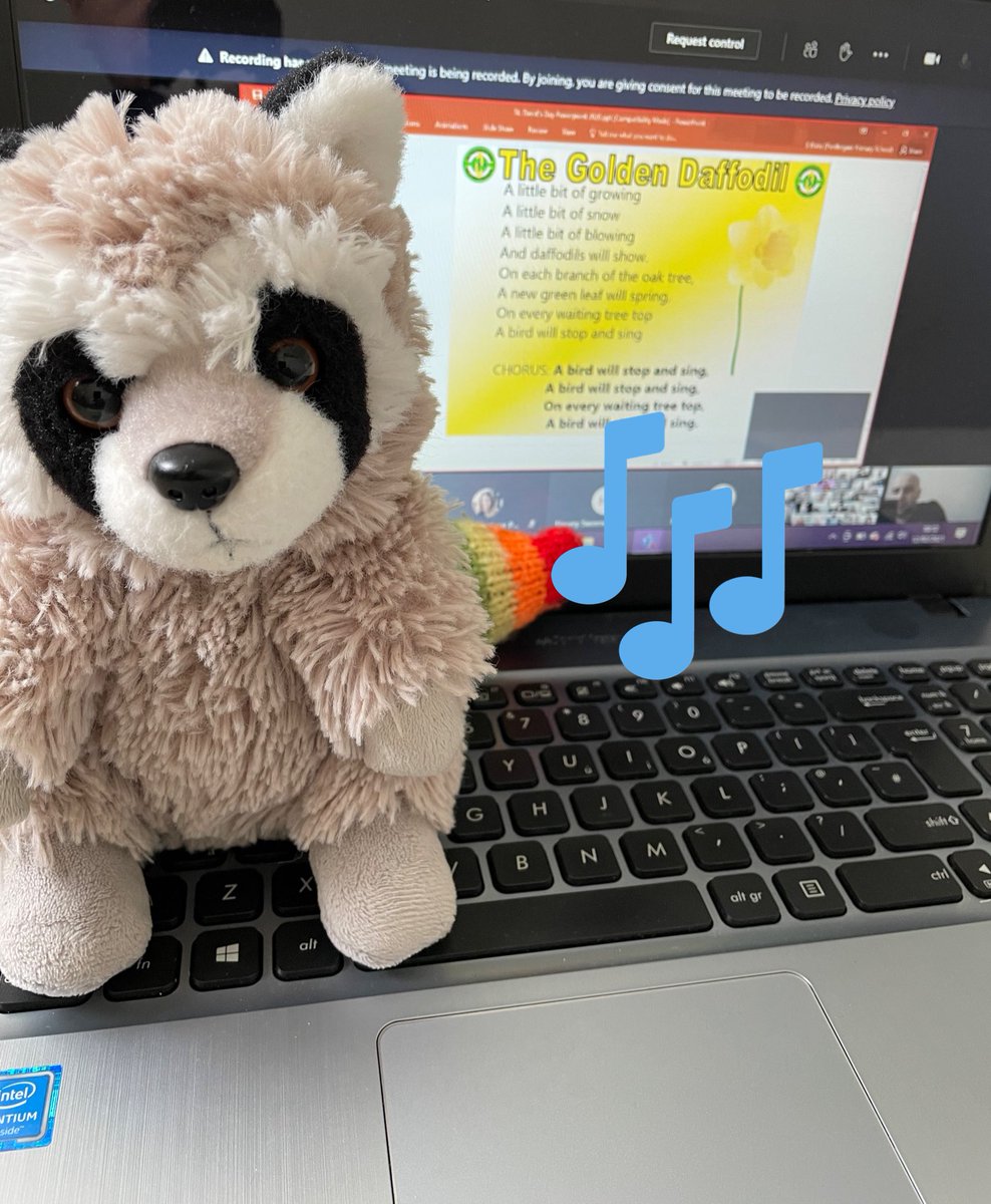 PenllergaerP's tweet image. Ryan our school mascot thoroughly enjoyed the KS2 singing this morning on @MicrosoftTeams He even joined in with some of our favourite songs! 🎶 @PenllergaerP #ppspv 
Article 15- your right to join in with clubs #ppsrrs #cymraeg #uncrc @Siarteriaith