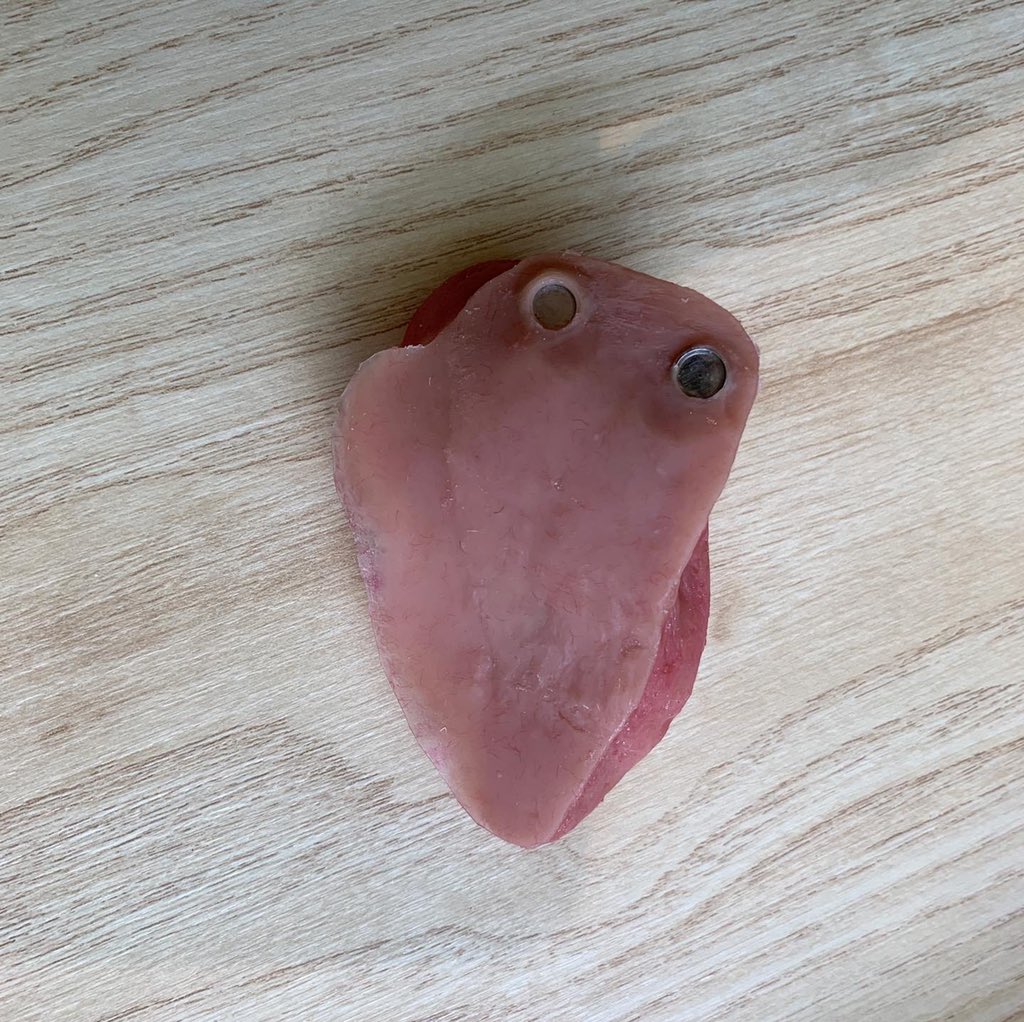 Sophie Fleming tweet media