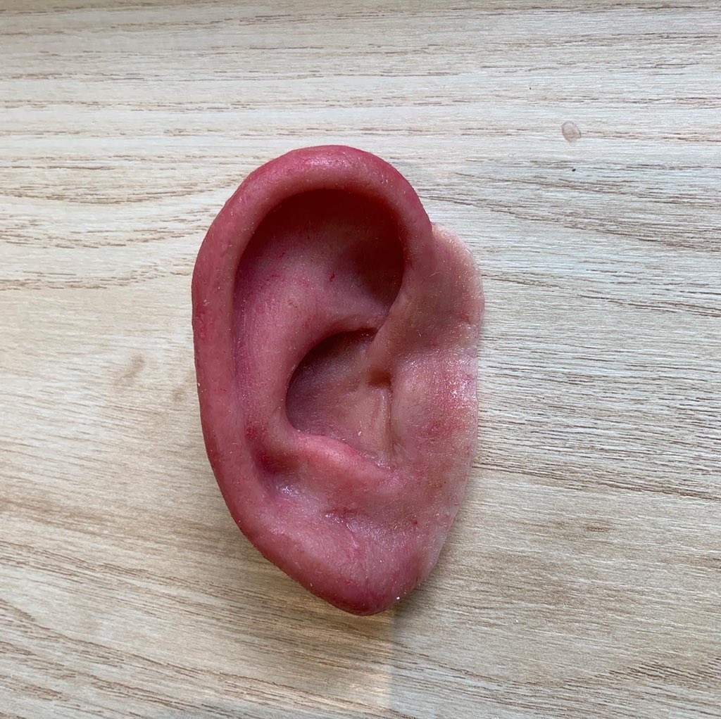 Sophie Fleming tweet media