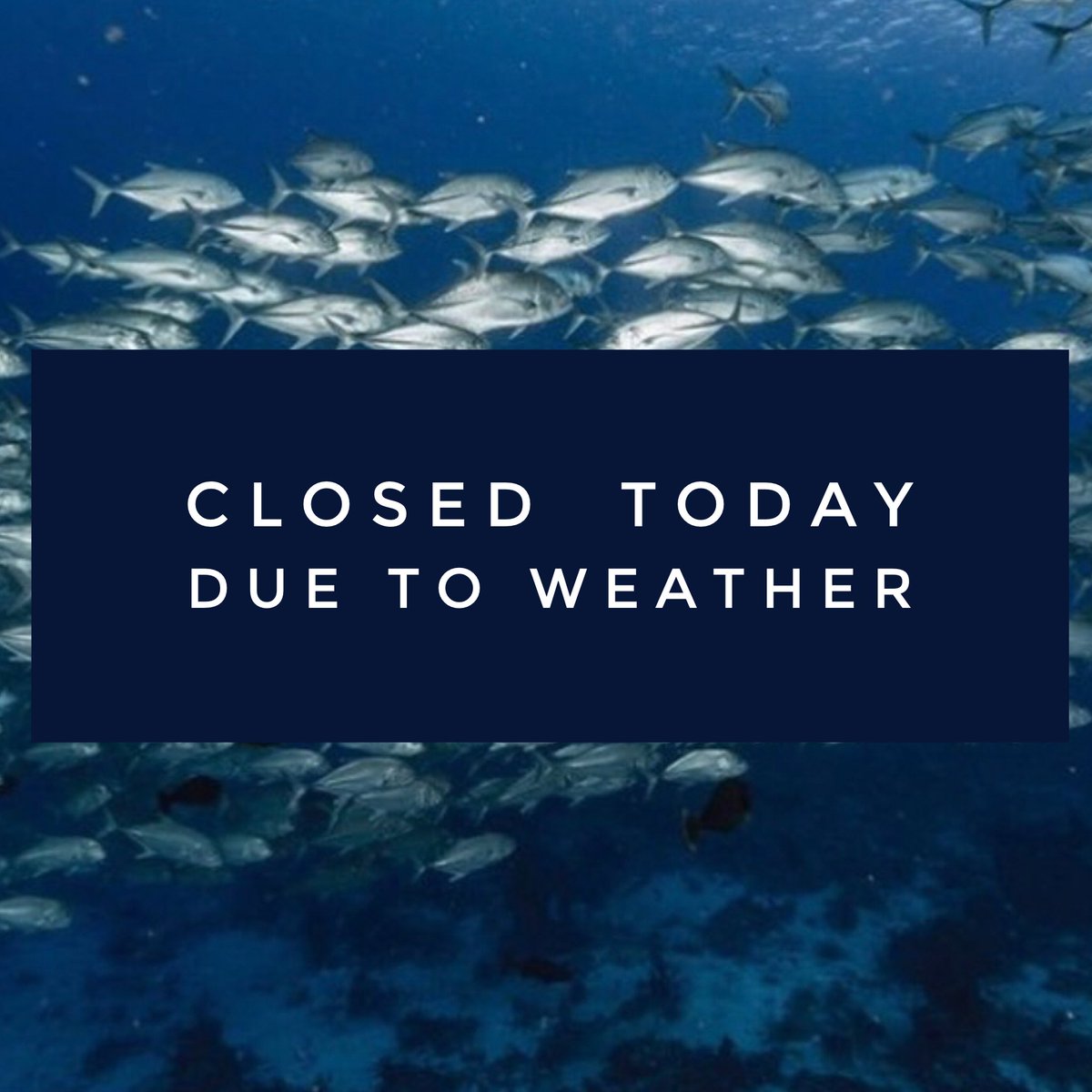 Due to adverse weather conditions unfortunately we wont be open today. Stay safe everyone.
