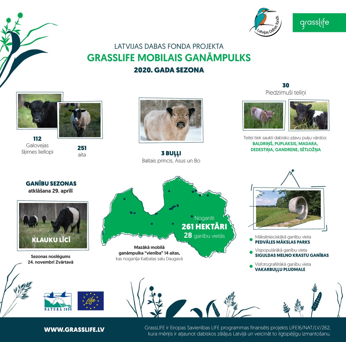 LVDabasFonds's tweet photo. Šovasar viņas bija uz salas, pludmalē, mākslas parkā, tūrisma takās. Viņas - mūsu projekta GrassLIFE mobilā ganāmpulka govis un aitas. 

Apkopojām mobilā ganāmpulka paveikto: ➡️ https://t.co/uYkXvpatta

#projektsGrassLIFE #LIFEprogramma https://t.co/Ahxd1NBEoy