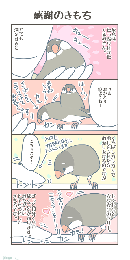 年々長くなる、大事なきもちです。

#Buncho #javasparrow #文鳥 