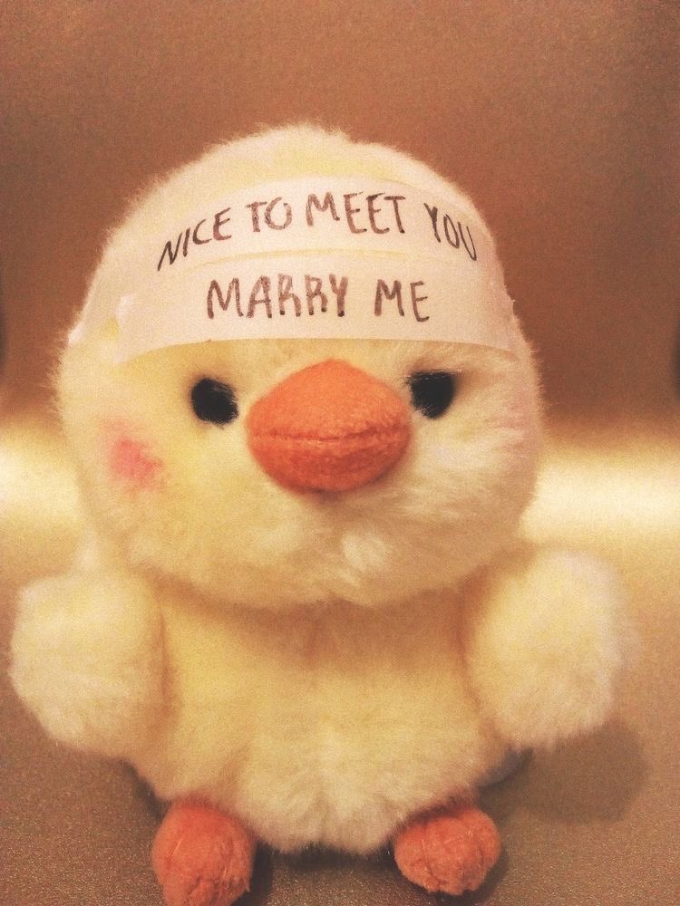 winterthinker's tweet image. 