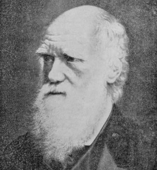STEMLearningUK's tweet photo. Happy #DarwinDay! The legendary biologist was born on this day in 1809 - and we've got a fascinating secondary resource suitable for home teaching based on his theory of evolution. Check it our here: https://t.co/opYZY8NMYS https://t.co/JYoguXqGzZ
