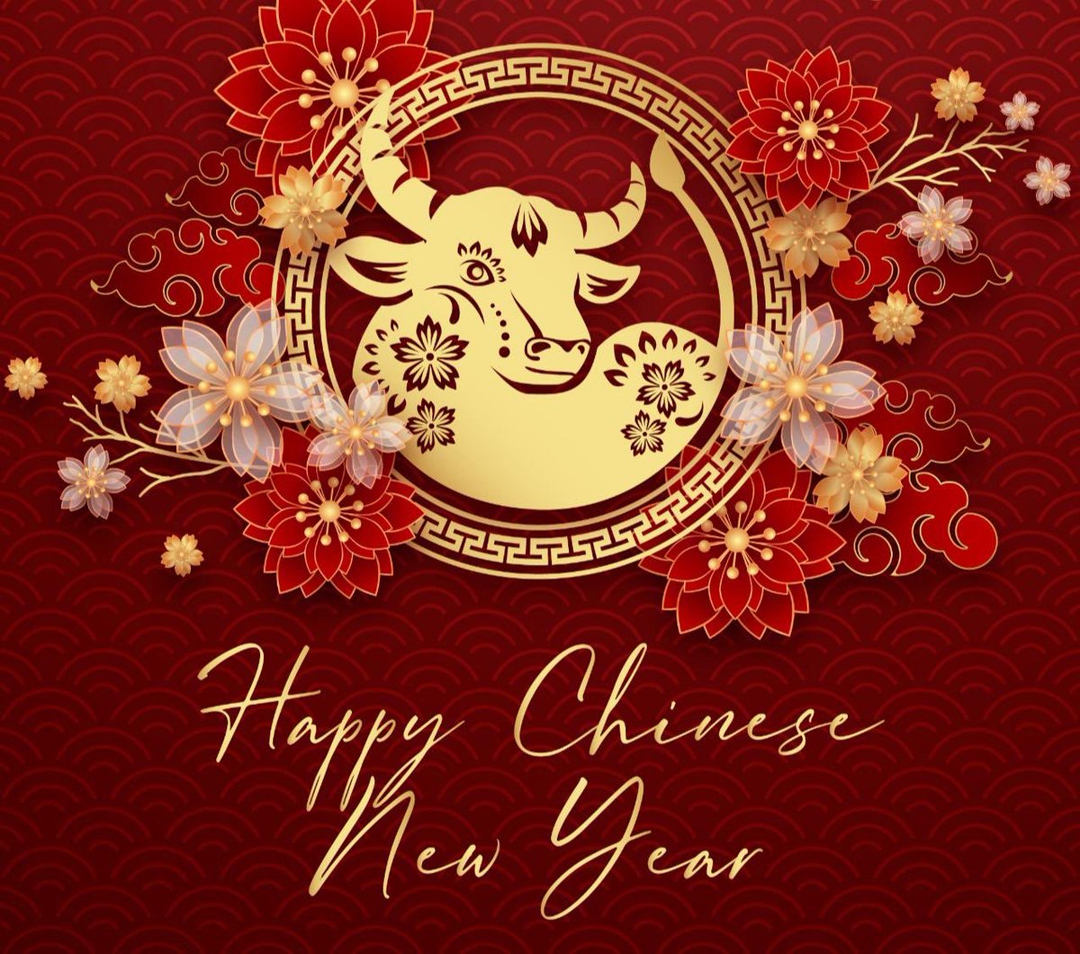 Gong Xi Fa Cai, Selamat Tahun Baru Cina.
