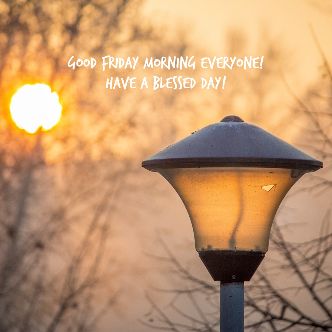 #sres #friday #Plant2021 #blessed #plant #research