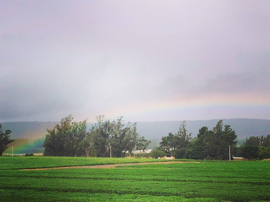 AGRAR DEL SUR tweet media