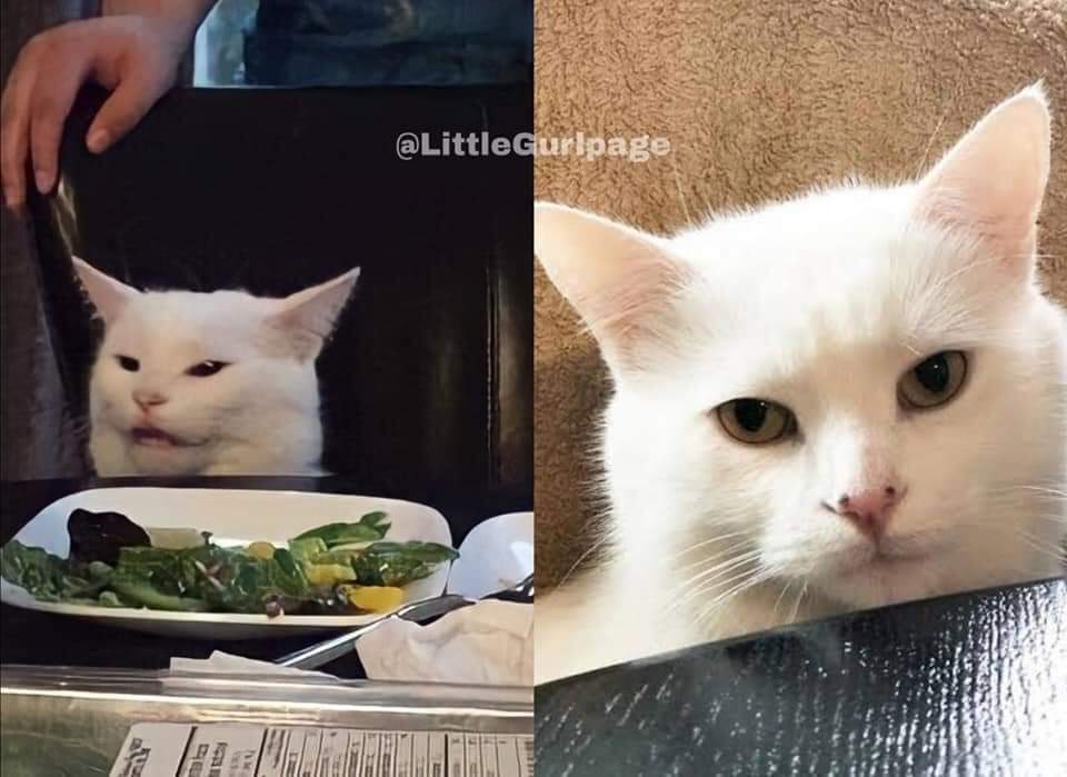 Legends and the memes