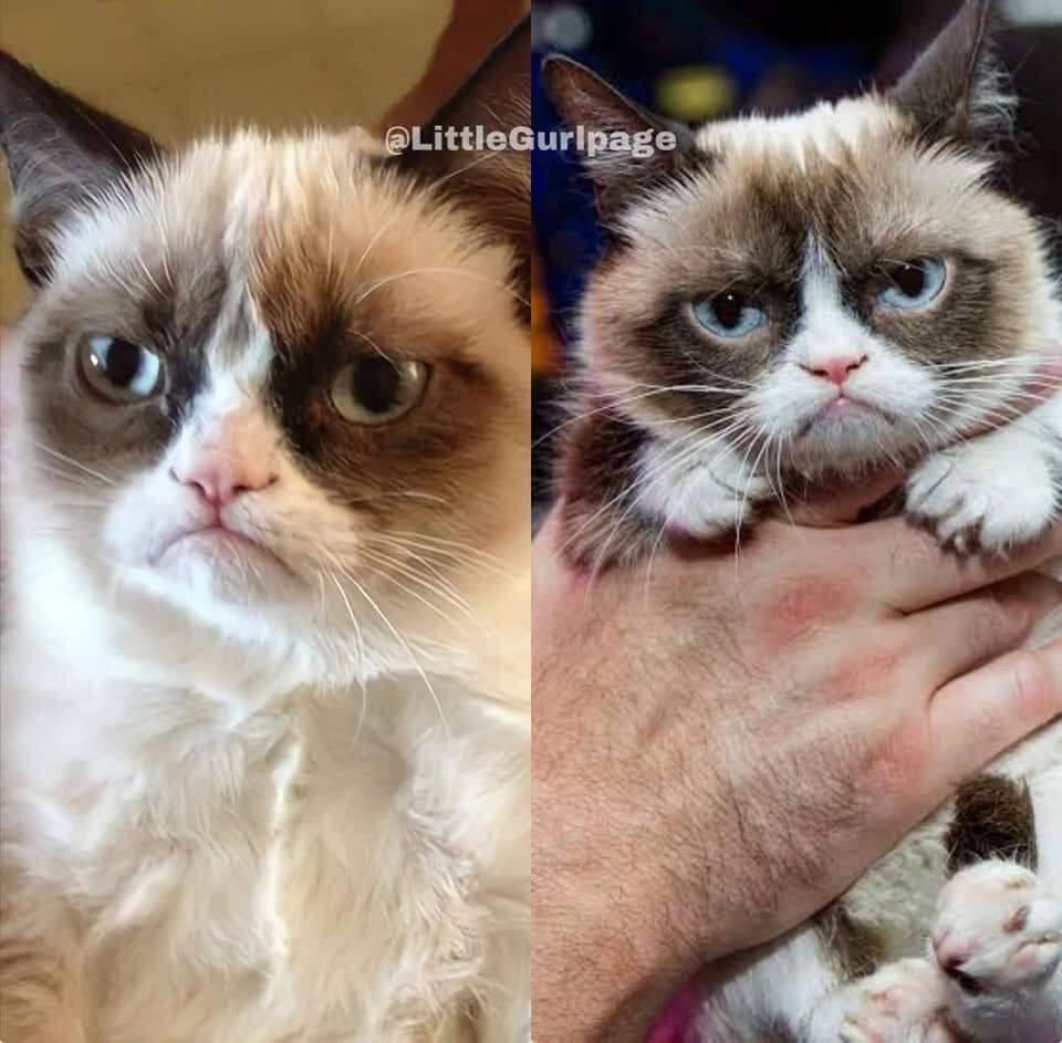 Legends and the memes