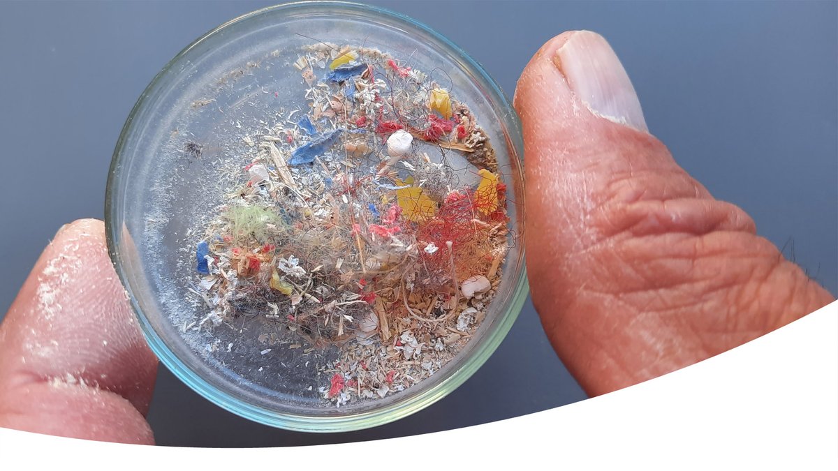 Hoe schadelijk zijn #microplastics voor de gezondheid? Onderzoekers pleiten in wetenschappelijke tijdschrift <a href="/ScienceMagazine/">Science Magazine</a> voor meer kennis over de risico’s. En dus meer onderzoek. Lees verder  → bit.ly/2MQoa2D