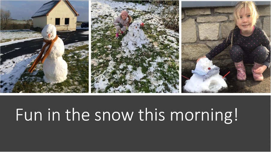 Newtownwhite Educate Together tweet media