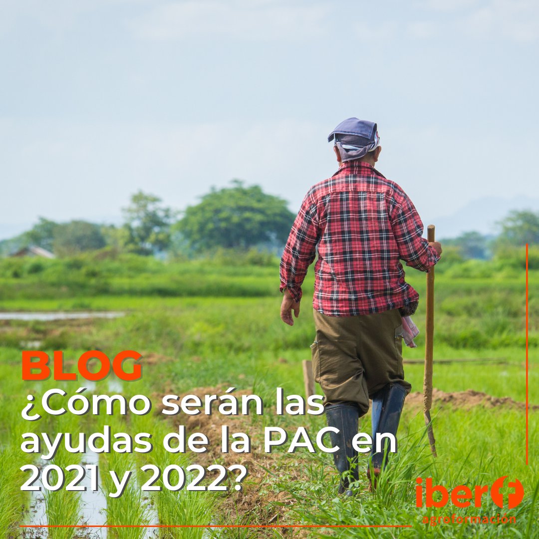 iberforma's tweet image. 𝐀𝐕𝐀𝐍𝐂𝐄𝐒 𝐃𝐄 𝐋𝐀 𝐏𝐀𝐂 𝐏𝐀𝐑𝐀 𝟐𝟎𝟐𝟏 𝐘 𝟐𝟎𝟐𝟐 |

El Ministerio de Agricultura aprobó el pasado 26 de enero el Real Decreto que definirá las ayudas de la #PAC para los años transitorios de 2021 y 2022, previos a la nueva PAC europea de 2023

agro.iberf.es/pac-2021-2022/
