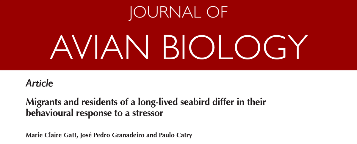 MarieClaireGatt's tweet photo. 🎆The last remaining chapter of my #PhD - on behavioural correlates with migratory strategy in a #seabird - has been published on @AvianBiology and available here: https://t.co/9QmHdfEuzL

...and such great timing! Today week, I'll be defending my #PhDthesis 🙂
@CESAM_Univ https://t.co/brv2iaYfPG