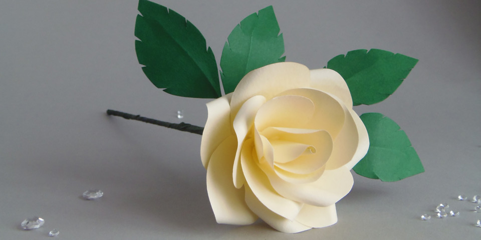 These TRUE LOVE Roses are now also available in Ivory - I can't get them to you in time for Valentines Day, but they will be about for whenever you wish to show you care!
#sayitwithflowers #paperflorist #foreverrose #paperrose #ivoryroses #ivoryflowers
