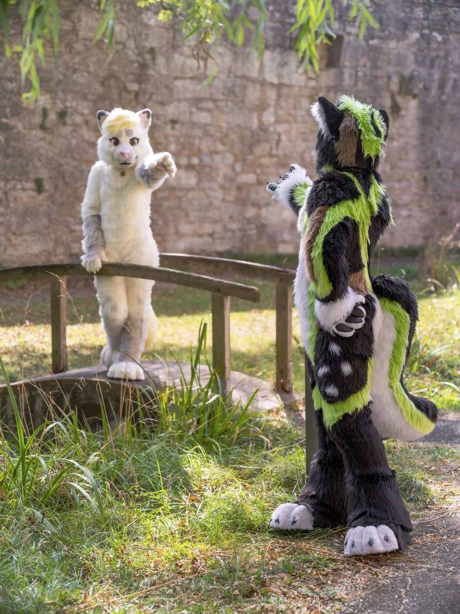 Happy #FursuitFriday everyone! 😀
Wish you a nice weekend!

Today again with more pictures of the photoshooting last year in #RothenburgobderTauber

With my best friend @sachikosart ☺️🐾

📸 = @CaptainChaotika