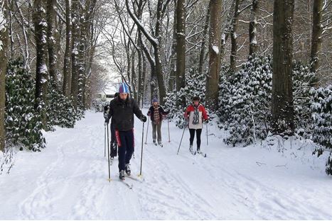 𝗡𝗶𝗲𝘂𝘄𝘀𝗯𝗿𝗶𝗲𝗳 I we glijden het weekend in met onze kersverse nieuwsbrief boordevol relevant nieuws! Geniet eerst van het prachtige winterse landschap en bekijk daarna onze update via deze link: lnkd.in/dxZCBR3
Ook ontvangen? Dit kan via: lnkd.in/dUiNN3e