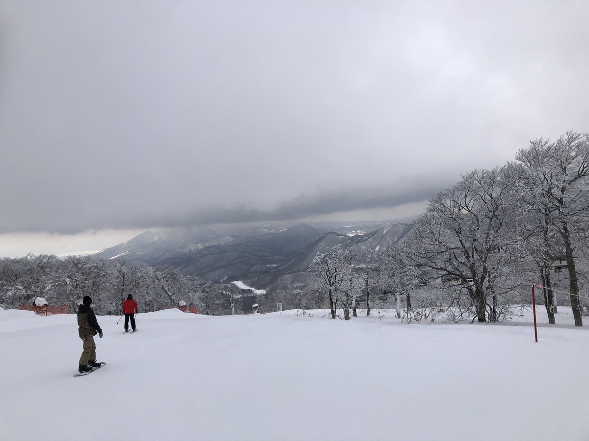 休みの日は大体遭難してる