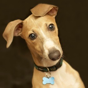 SoDuTw on Twitter: "Yay"